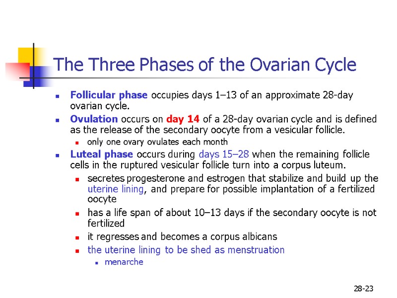 28-23 The Three Phases of the Ovarian Cycle Follicular phase occupies days 1–13 of